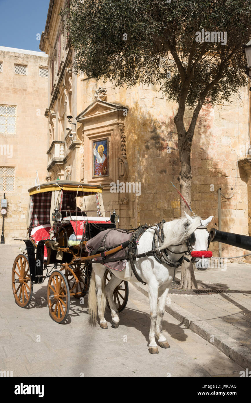 A tourist horse and cart carriage waits for passengers for a trip in Mdina Malta Stock Photo