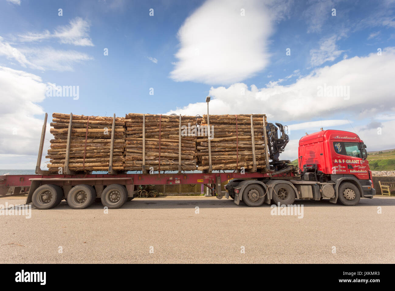 Articulated lorry with a load of logs timber transport, Scotland UK