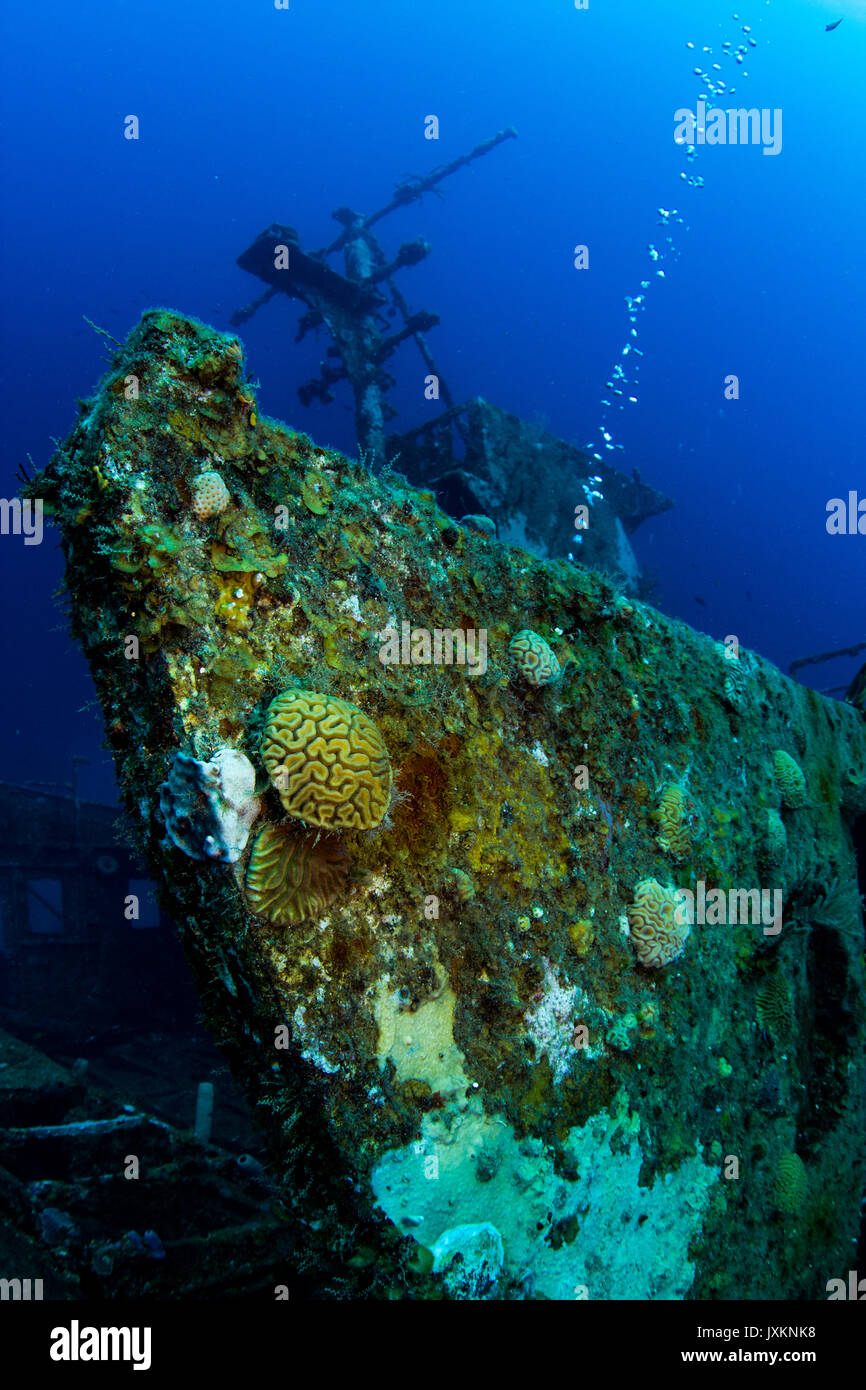 Underwater photography: Shipwreck in Roatan Stock Photo