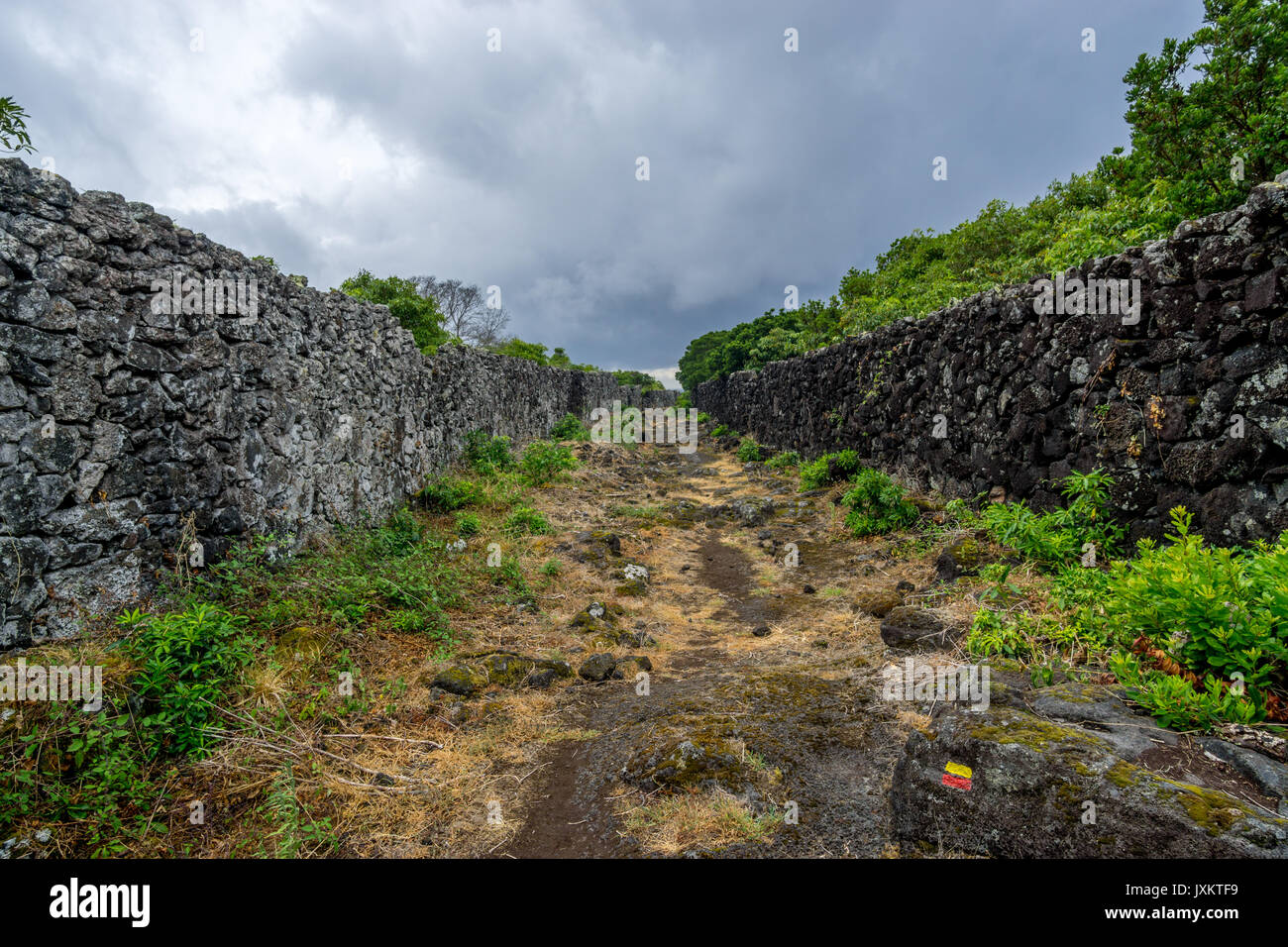 Caminhos de Santa Luzia trail, Pico island, Azores Stock Photo