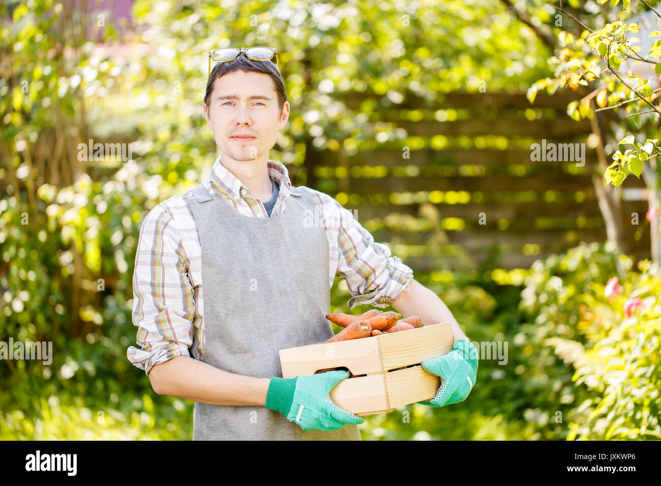 Man in gloves holding carrots Stock Photo