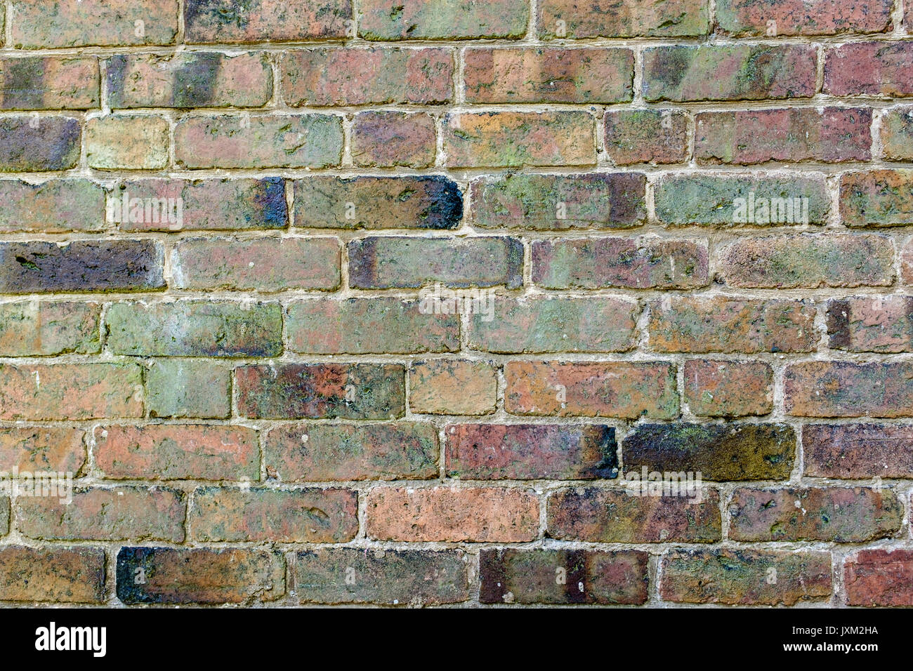 Red brick wall, straight on. Stock Photo