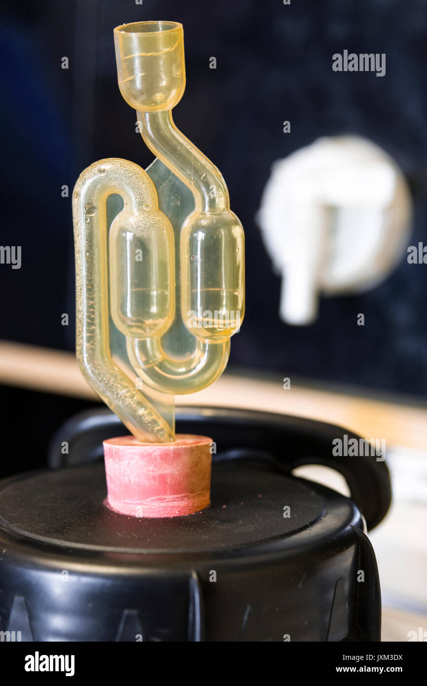 Bubbler fermentation lock in a homebrew setup Stock Photo Alamy