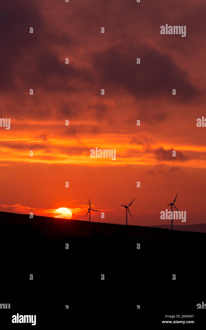 Wind turbines silhouetted against a deep orange sun sea sky Stock Photo ...