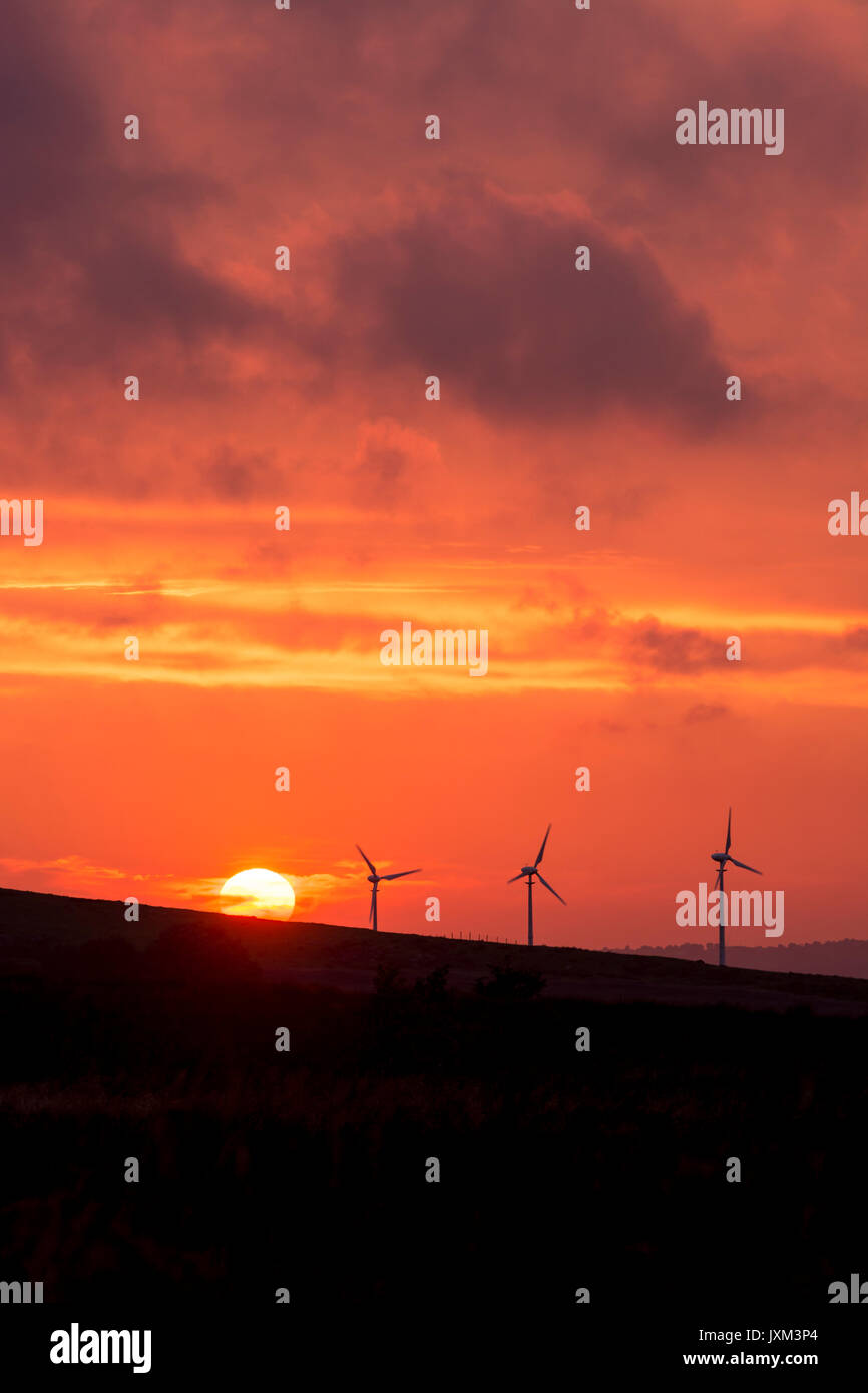 Wind turbines silhouetted against a deep orange sun sea sky Stock Photo ...