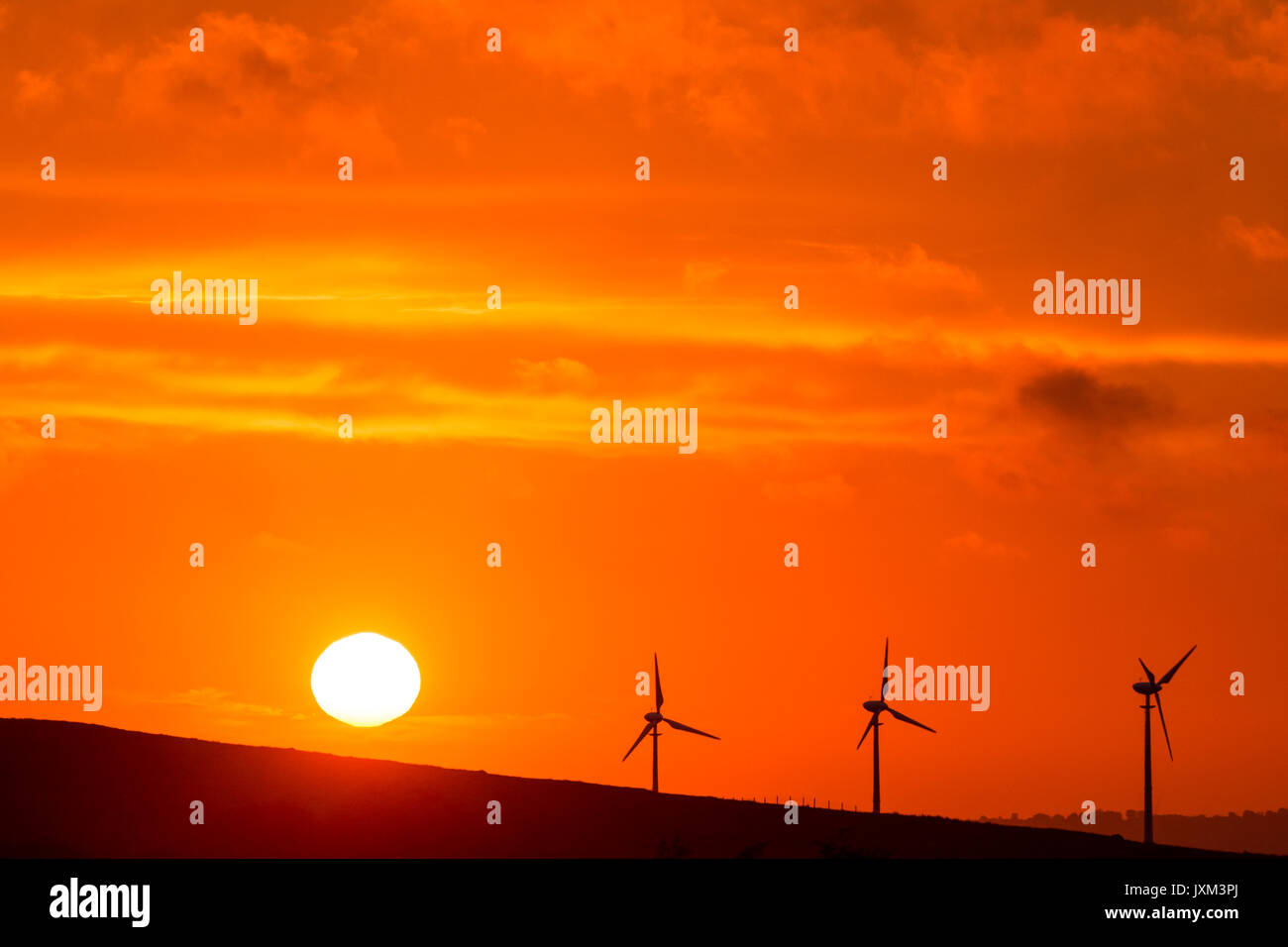 Wind turbines silhouetted against a deep orange sun sea sky Stock Photo ...