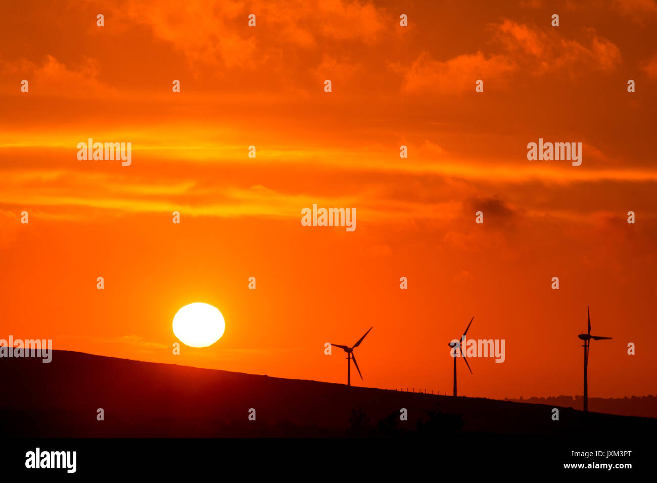 Wind turbines silhouetted against a deep orange sun sea sky Stock Photo ...