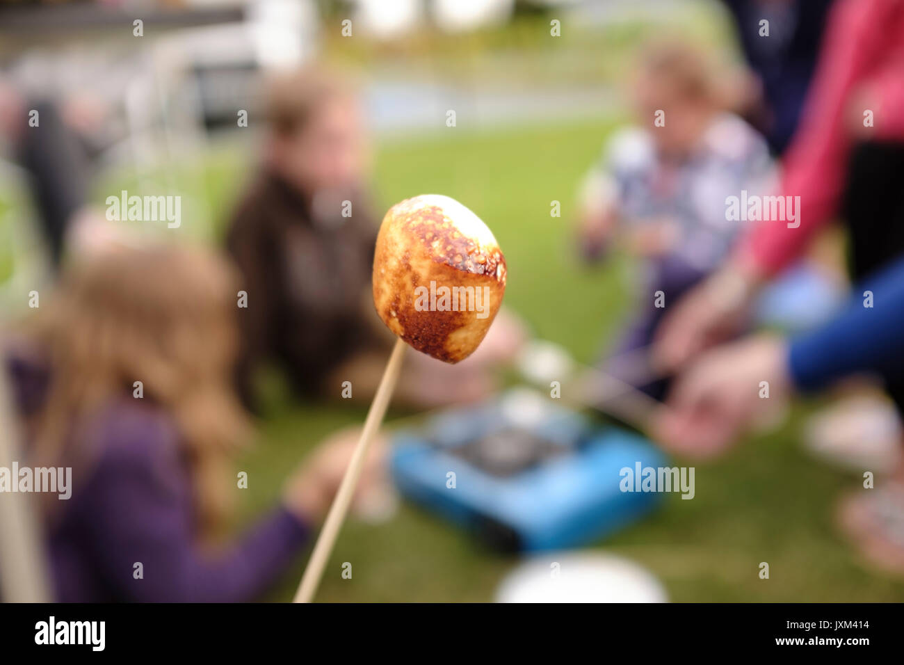 Children roasting marshmallows around a camping gas stove outdoors
