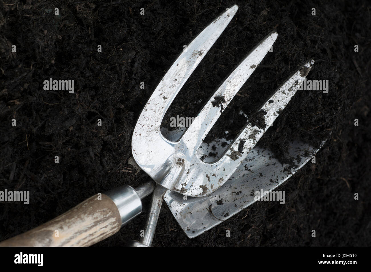 Hand Trowel and Hand Fork in soil Stock Photo