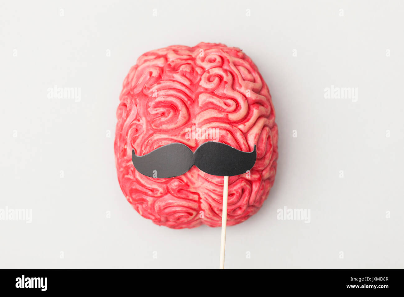 Human brain with comedy props Stock Photo