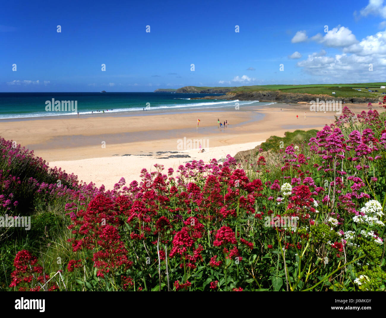 Harlyn Bay near Padstow in early June. Stock Photo