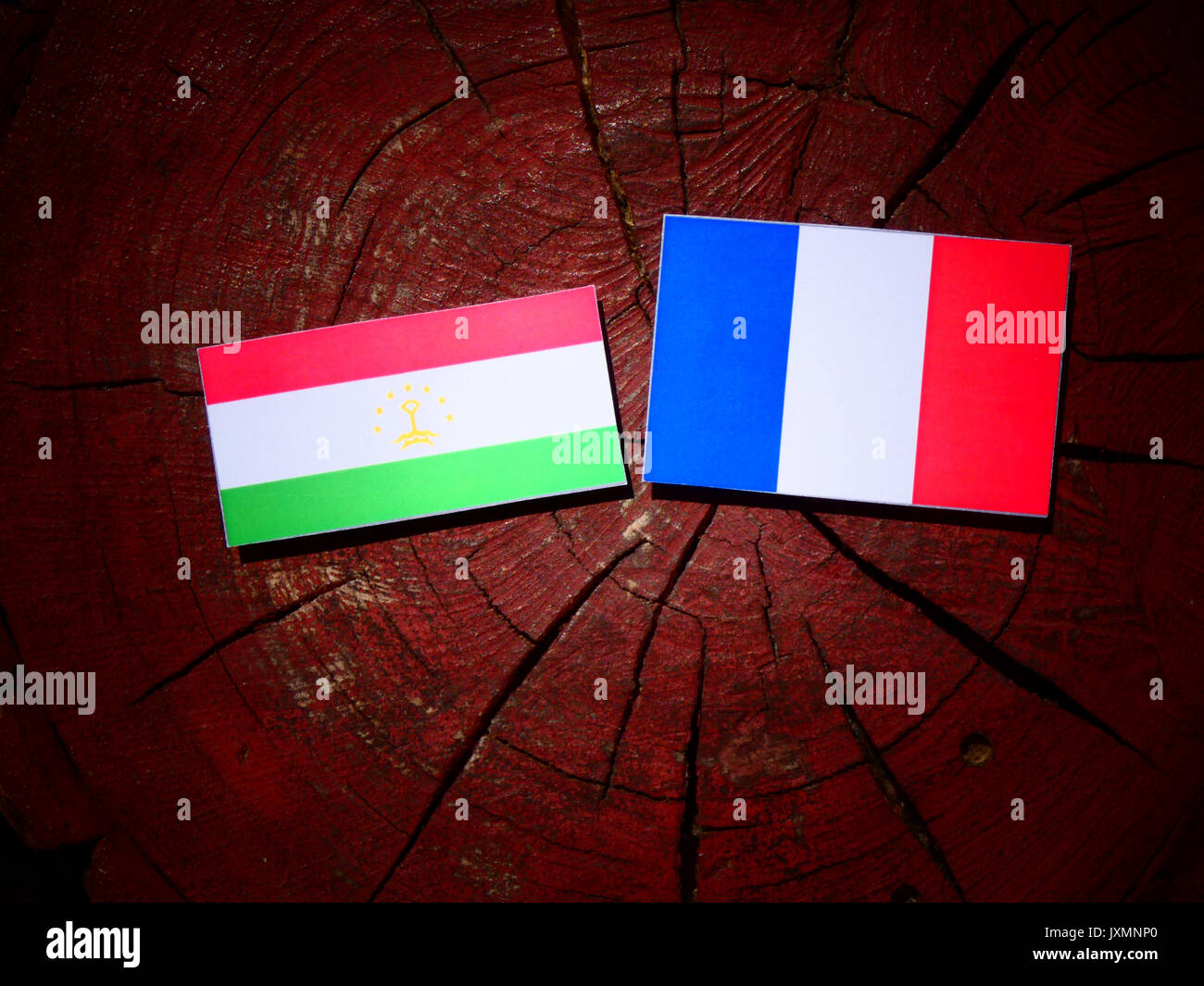 Tajikistan flag with French flag on a tree stump isolated Stock Photo