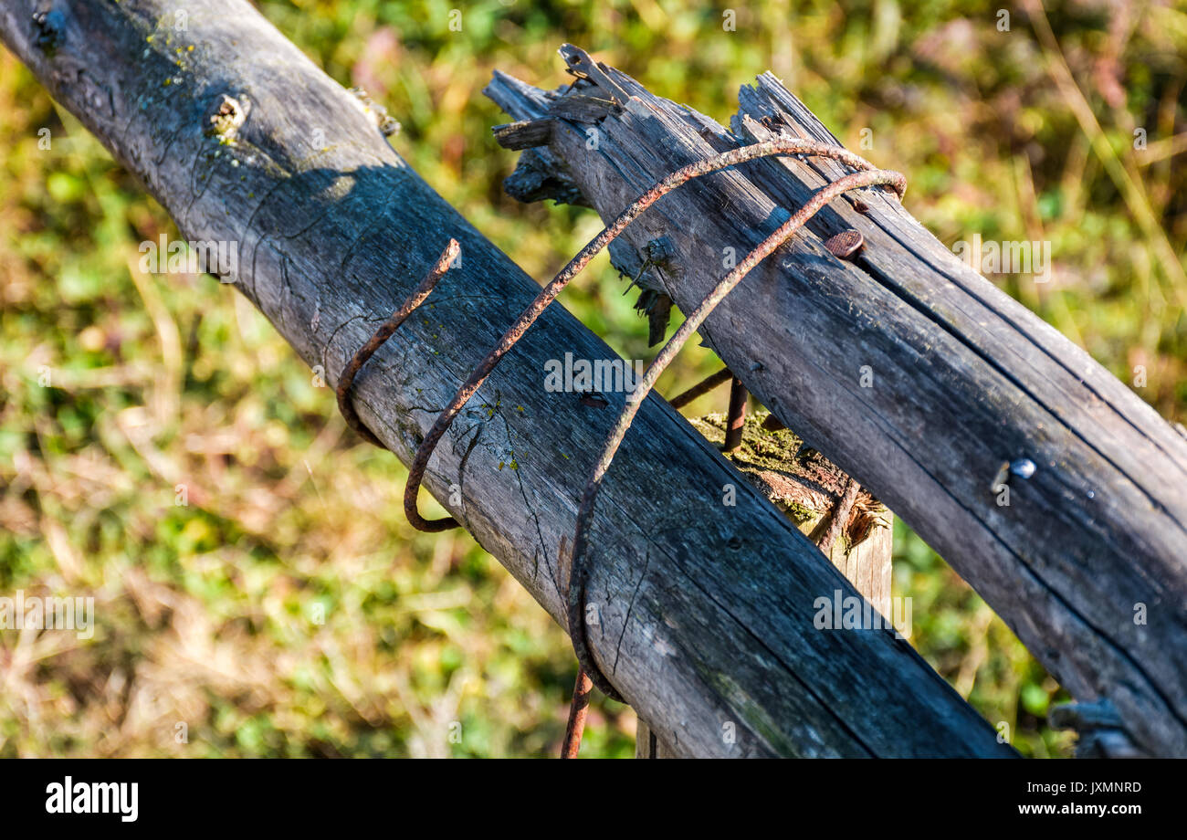 wooden fence details wrapped by a wire. simple rural style object on grassy background -