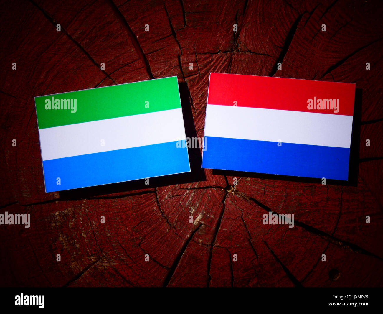 Sierra Leone flag with Dutch flag on a tree stump isolated Stock Photo