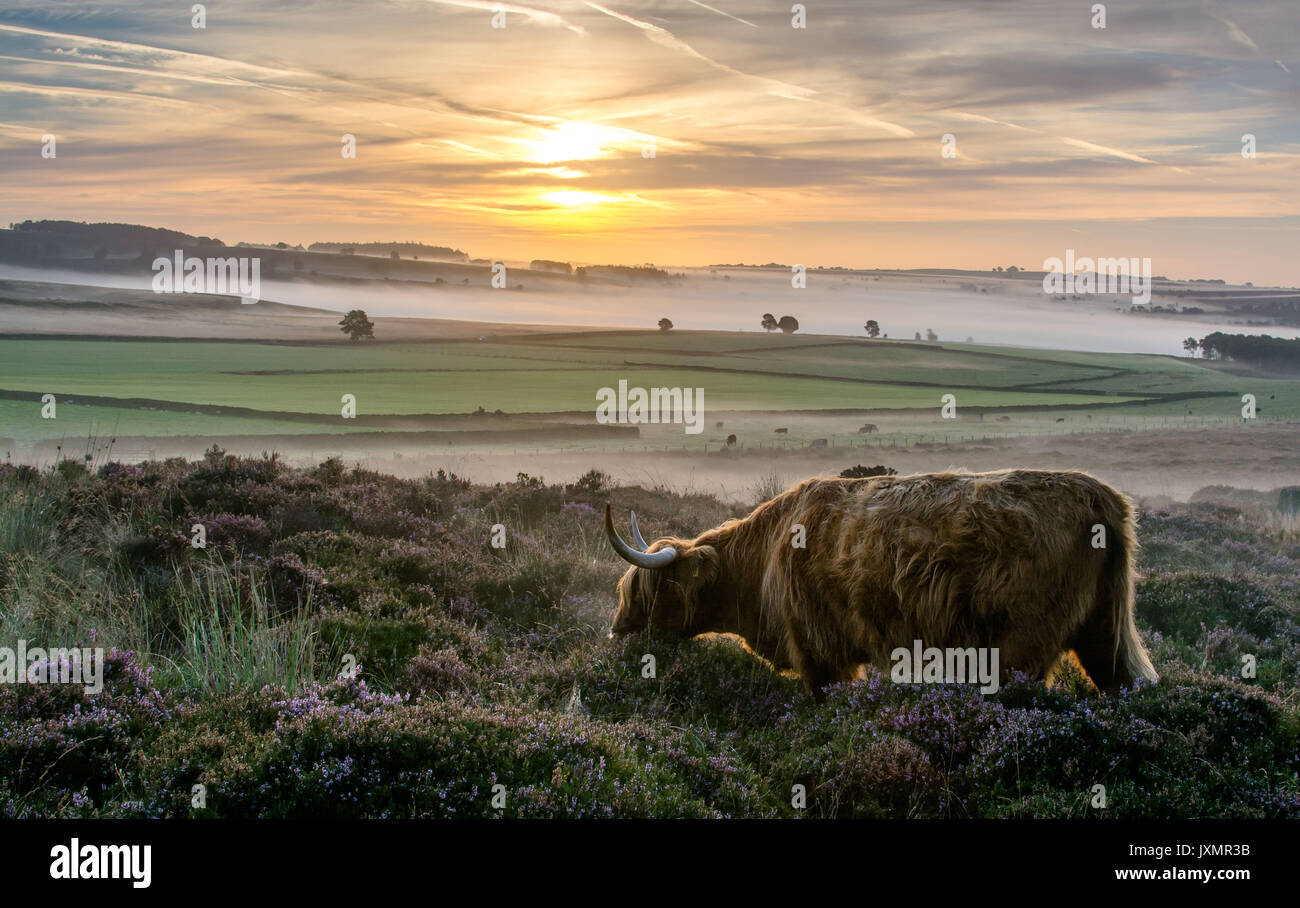 Utopia Stock Photo - Alamy
