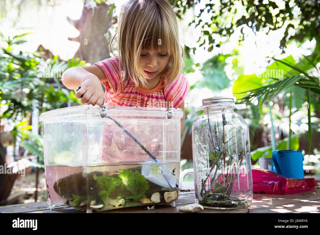 Girl scooping fishing net in plastic tadpole pond on garden table Stock  Photo - Alamy