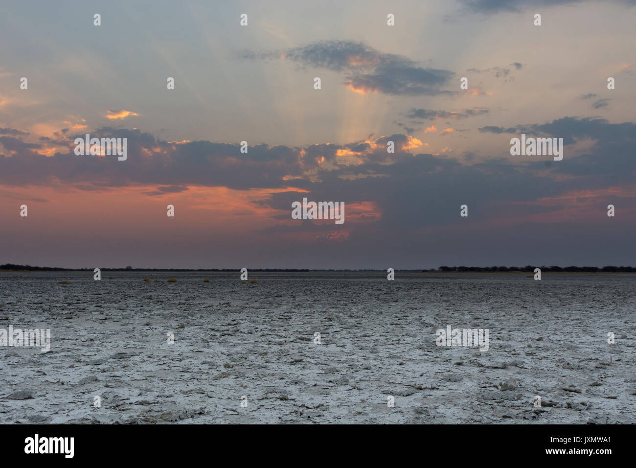 The salt pan at sunset, Nxai Pan, Botswana, Africa Stock Photo Alamy