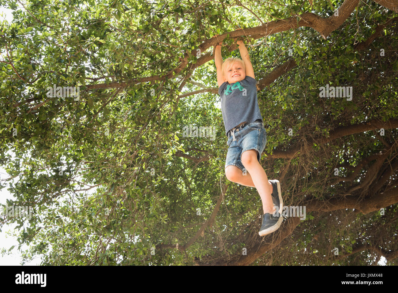 Boy hanging from tree branch looking at camera smiling Stock Photo