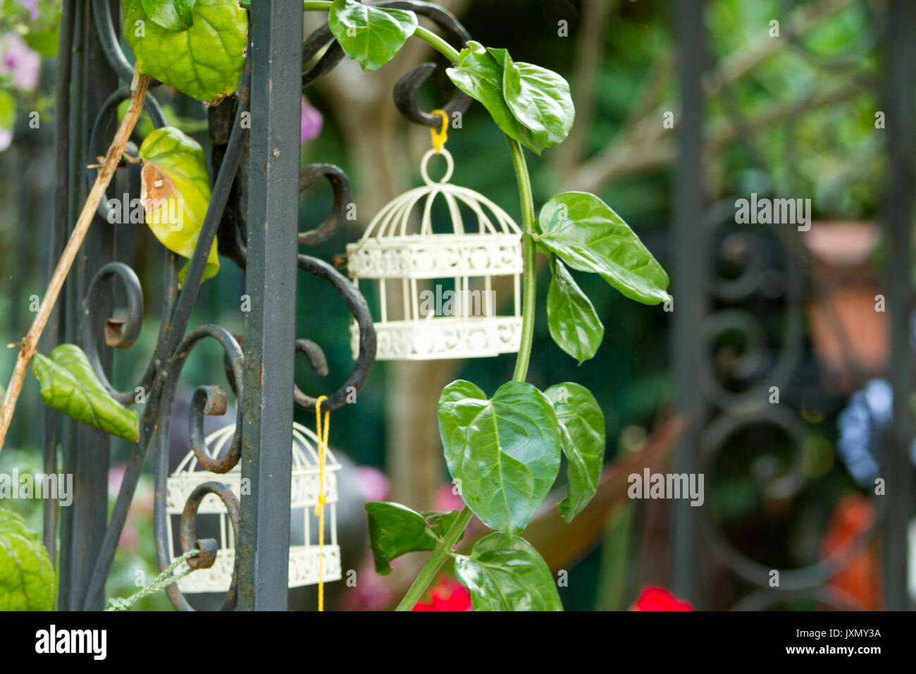 Antique bird cages hires stock photography and images Alamy