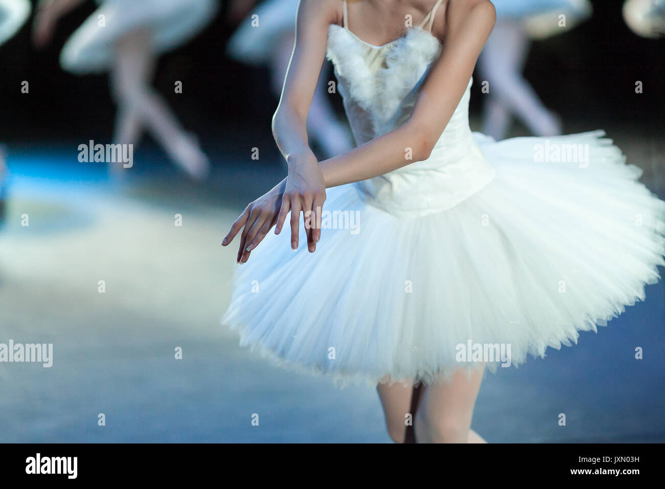 tenderness, ballet, choreography concept. svelte caucasian ballerina ...