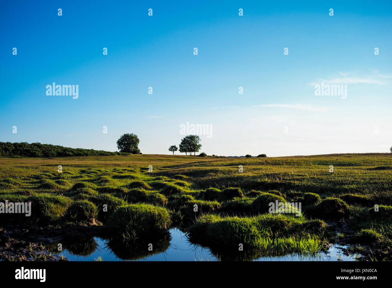 Clear blue sky green grass hi-res stock photography and images - Alamy