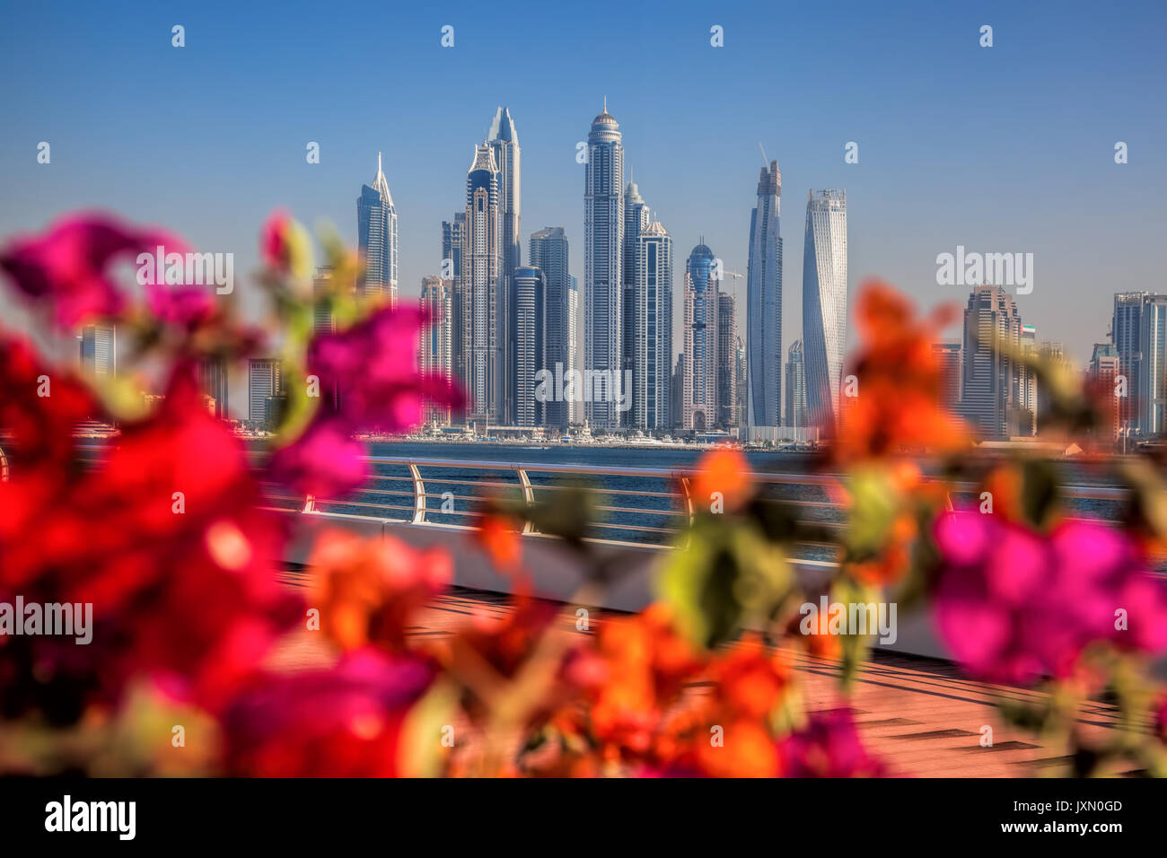 Palm dubai top view hi-res stock photography and images - Alamy