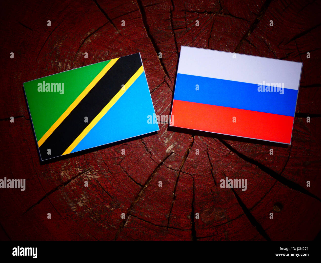 Tanzanian Flag With Russian Flag On A Tree Stump Isolated Stock Photo 