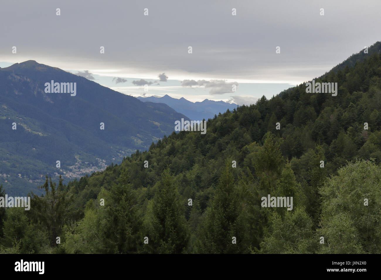A landscape of green mountains, with pines and firs, rocks and glaciers, in the Vigezzo Valley, northern Italian Alps Stock Photo
