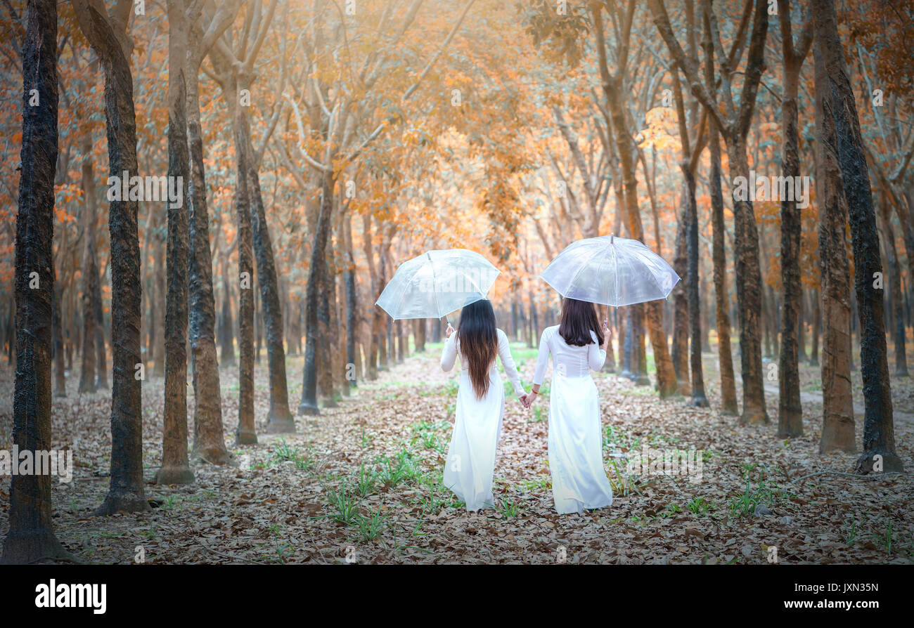 vietnam fairy dress Sundew Romantic Princesscore Pearl Decorated Spring Fairy Dress main image 1