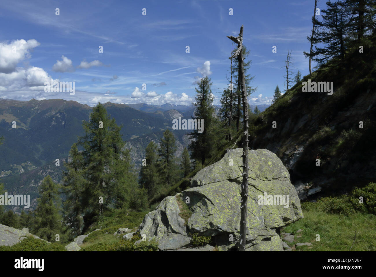 A landscape of green mountains, with pines and firs, rocks and glaciers, in the Vigezzo Valley, northern Italian Alps Stock Photo