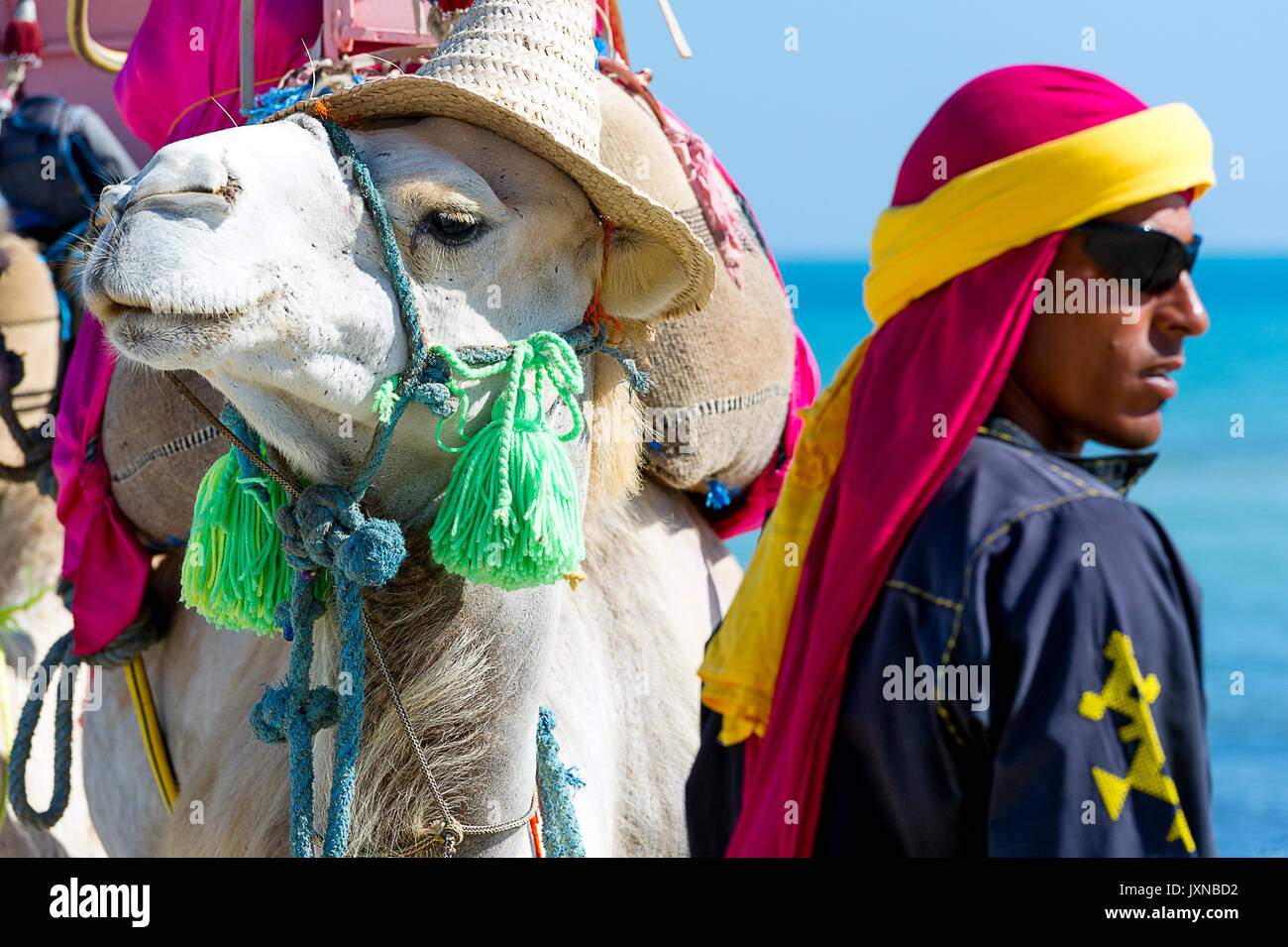Tunisia. (South Tunisia) Djerba island. Beach of Sidi Mehrez. Camel Driver Stock Photo