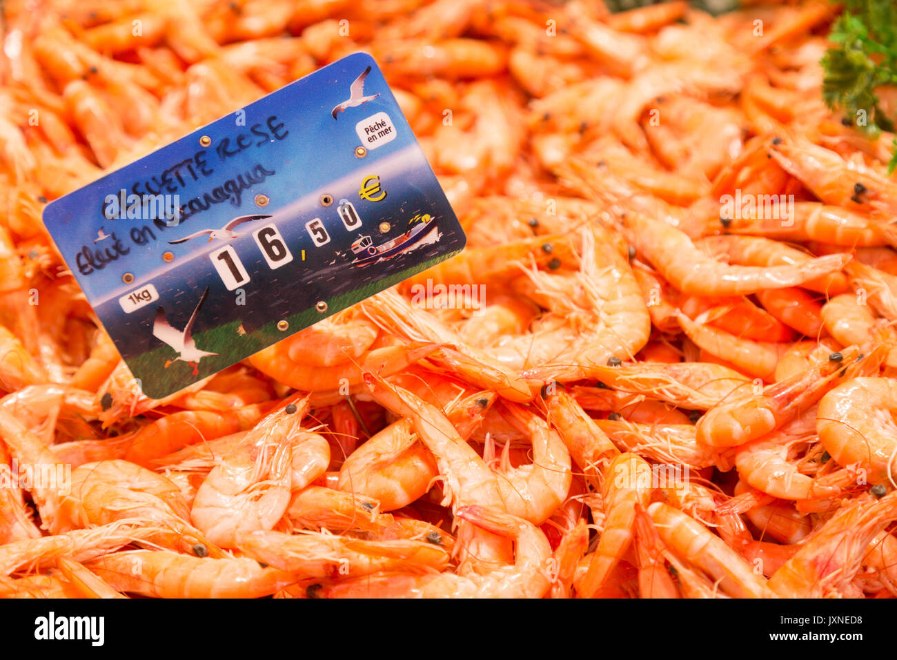 Crevettes High Resolution Stock Photography And Images Alamy