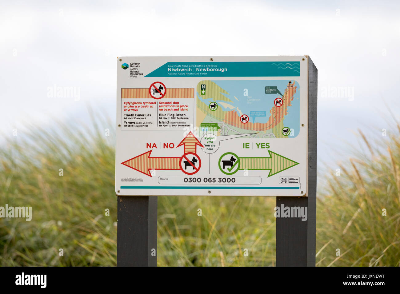 Sign showing dog friendly and dog restriciton areas on Newborough Beach with arrows to show direction, Newborough, Anglesey, Wales, UK Stock Photo