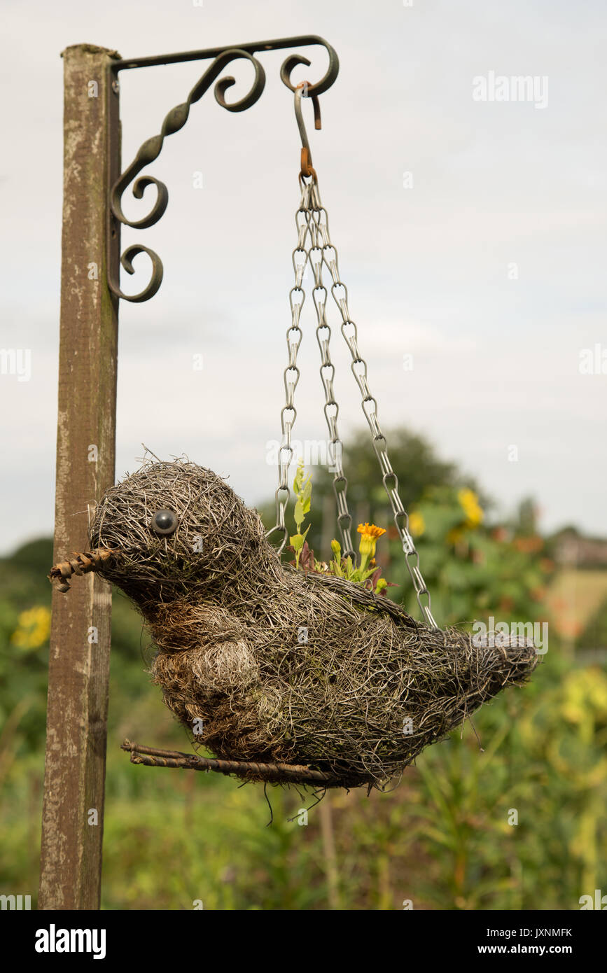 french marigolds planted in a bird shaped hanging basket Stock Photo