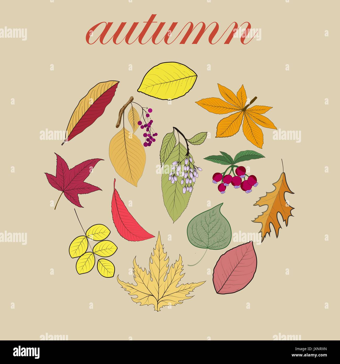 Vector illustration of autumn background with leaves Stock Vector Image ...