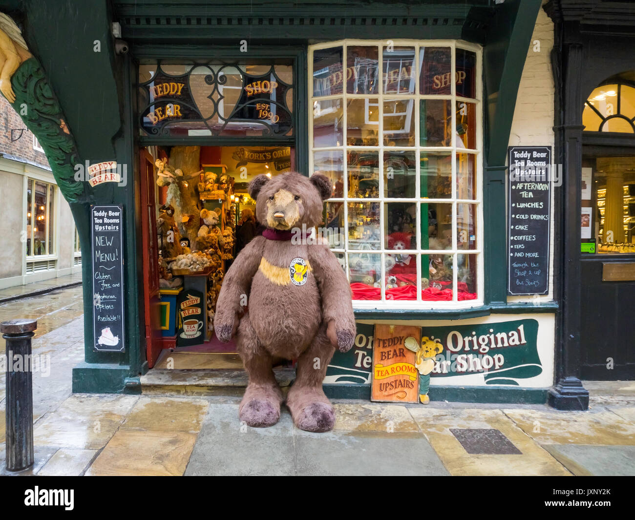 Teddy Bear Shop Near Me - pic-county