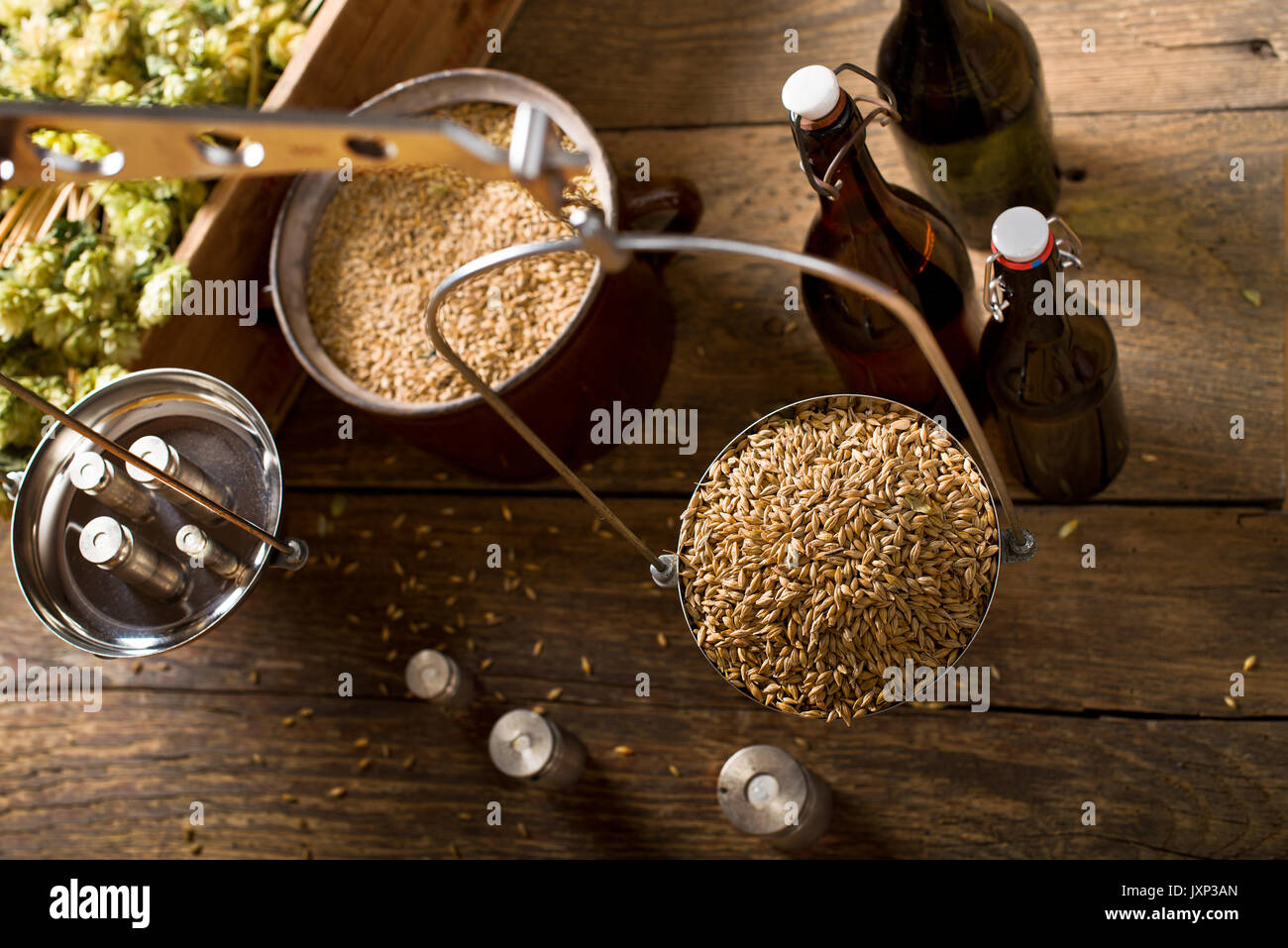 Man Weighs Malt for Home Brewing of Beer.  Top View. Stock Photo