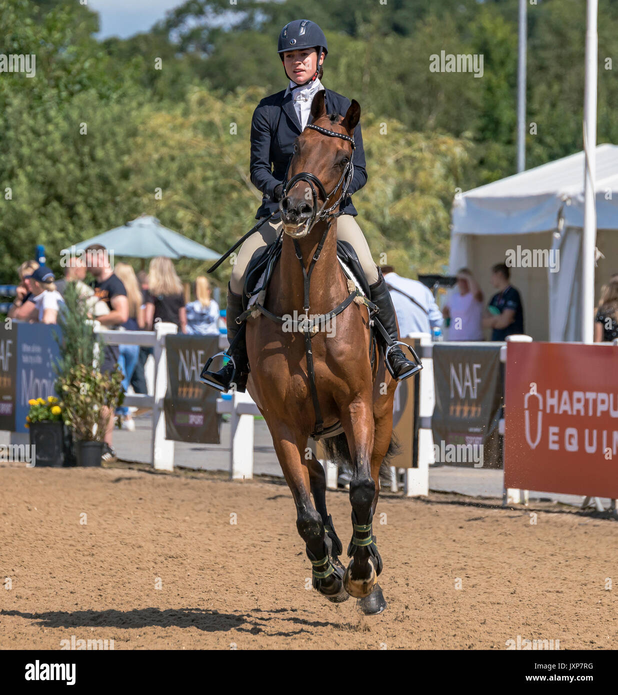 NAF International Hartpury Horse Trials Stock Photo Alamy