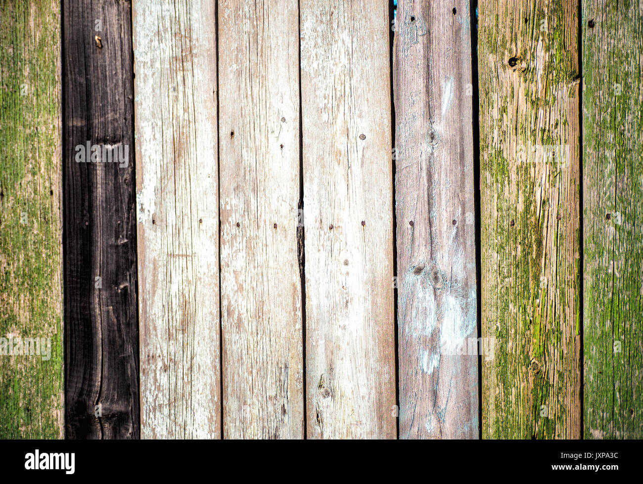 old wood fence board painted texture vintage background  with knots  Stock Photo