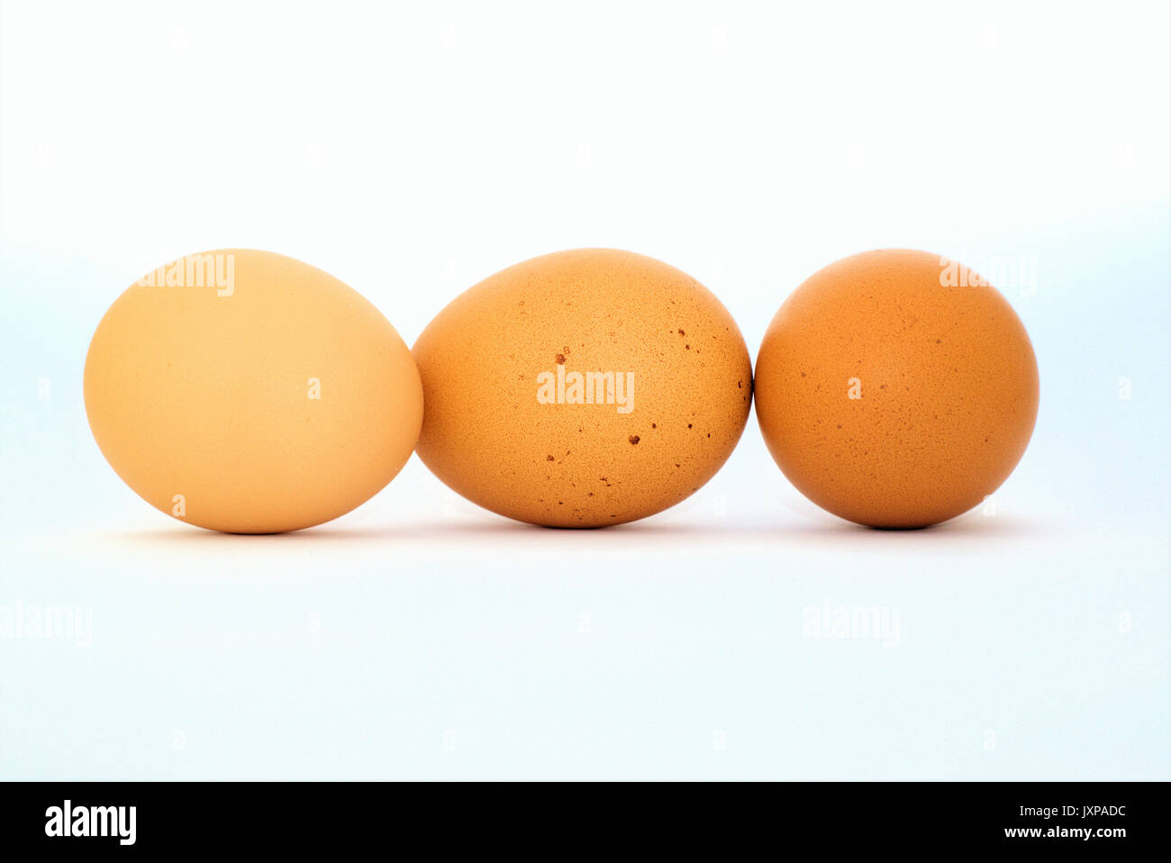 Close up of three brown eggs in near white background. Concept of triplets. Stock Photo