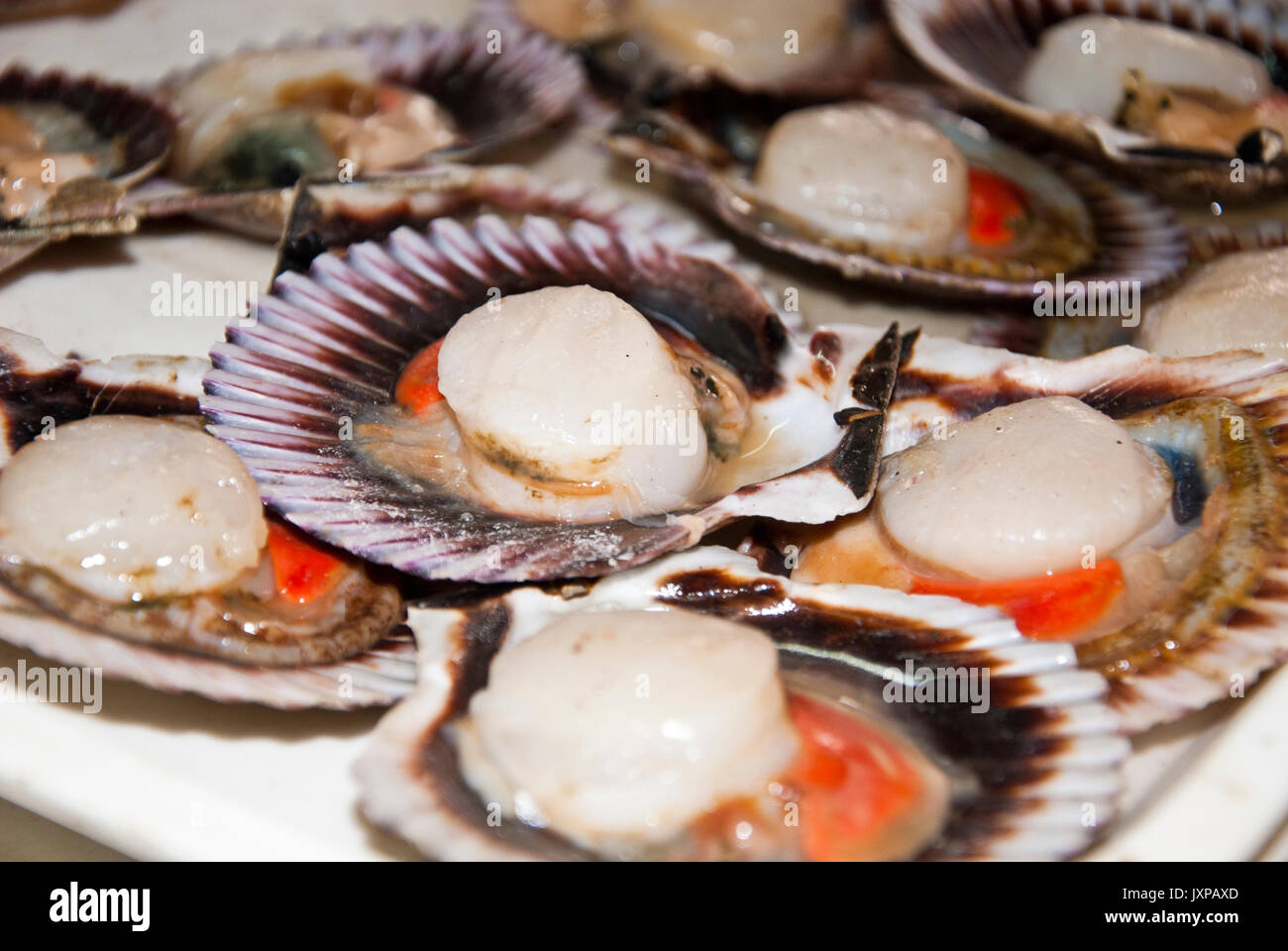 Seafood scallops two types of meat in one shell stock photo alamy