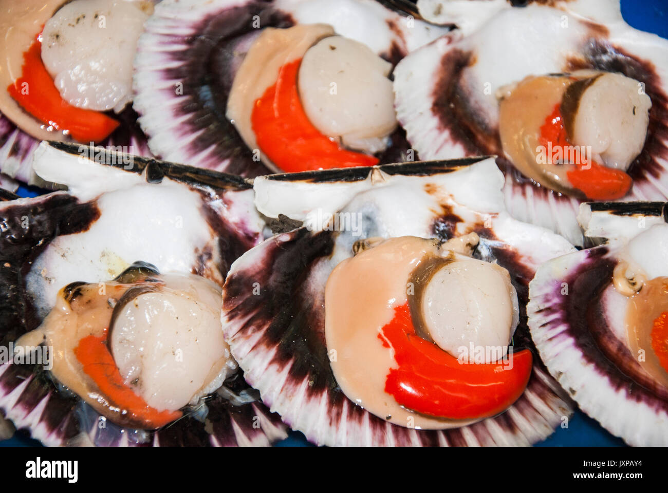 Seafood Scallops Two Types Of Meat In One Shell Stock Photo Alamy