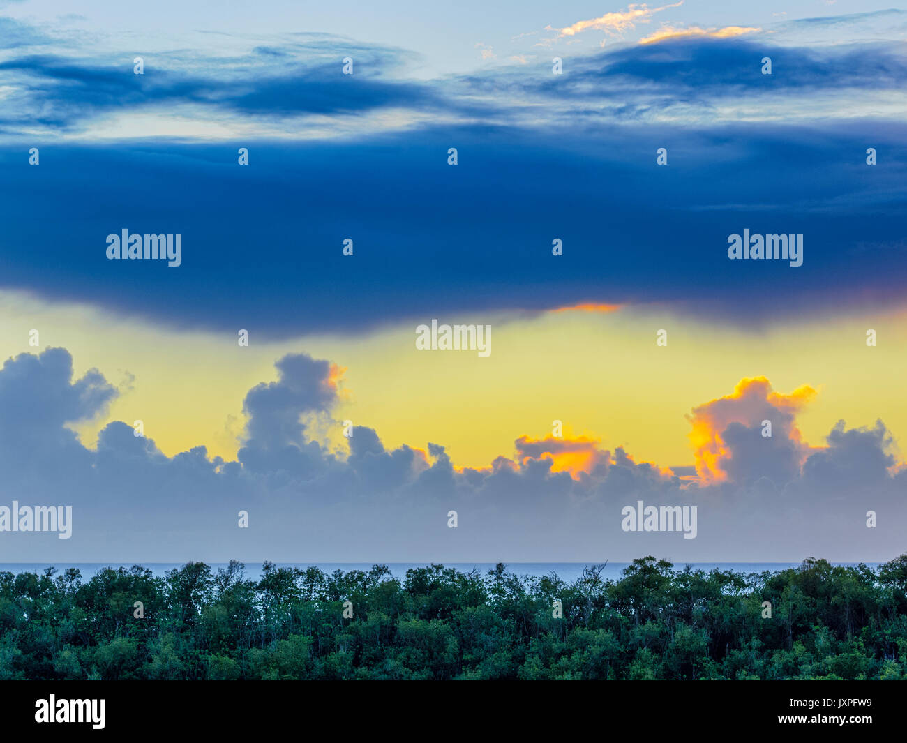 Sunrise on the Coconut Coast of Kauai Hawaii Stock Photo - Alamy