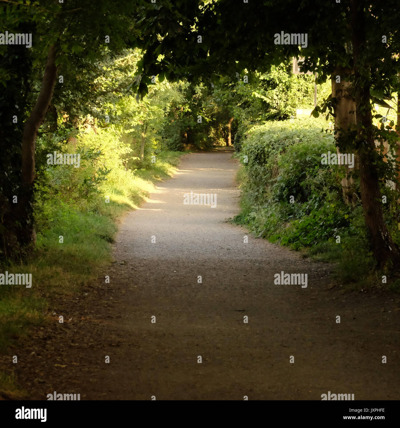 tow path molesey Stock Photo Alamy