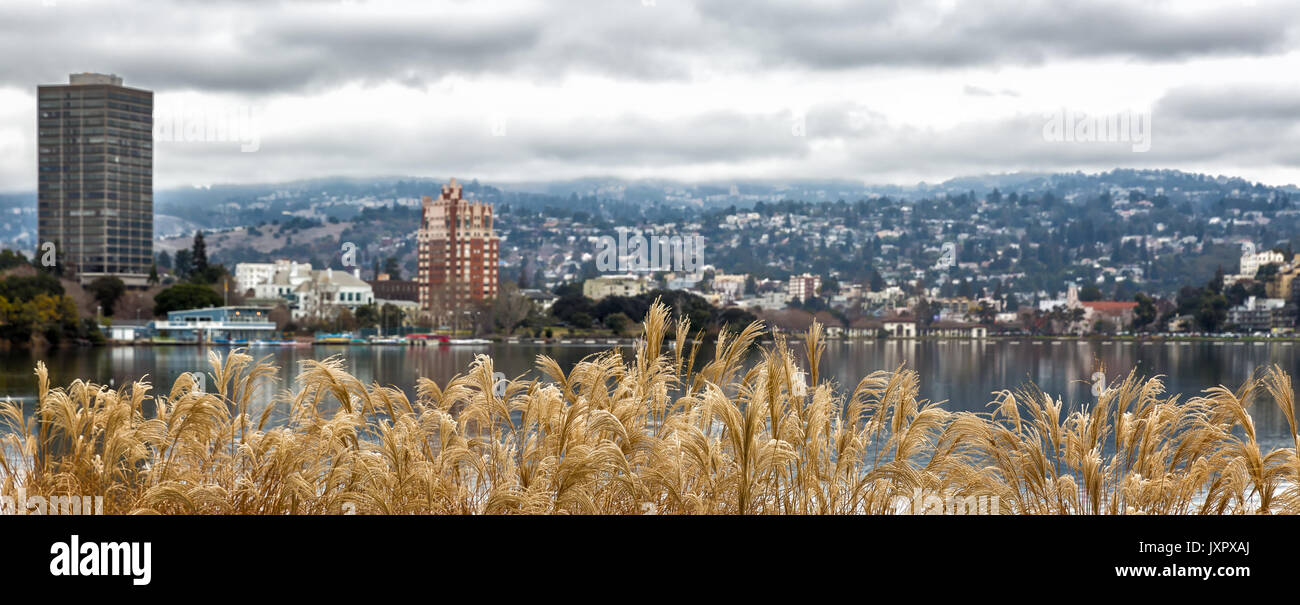 Oakland California, view across Lake Merritt of shoreline buildings and East Bay hills in the background. Dried plants in the foreground. Heavy clouds Stock Photo