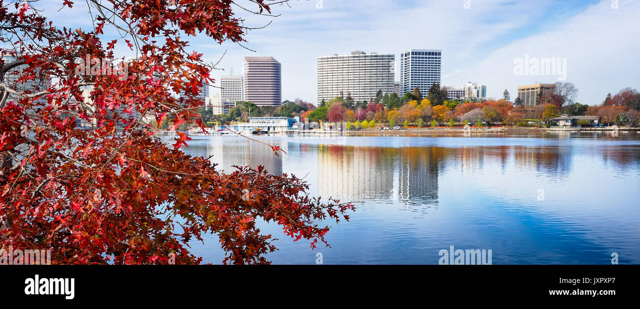 Oakland, California, Lake Merritt view of skyline across water. Colorful tree with red fall leaves in foreground. Stock Photo