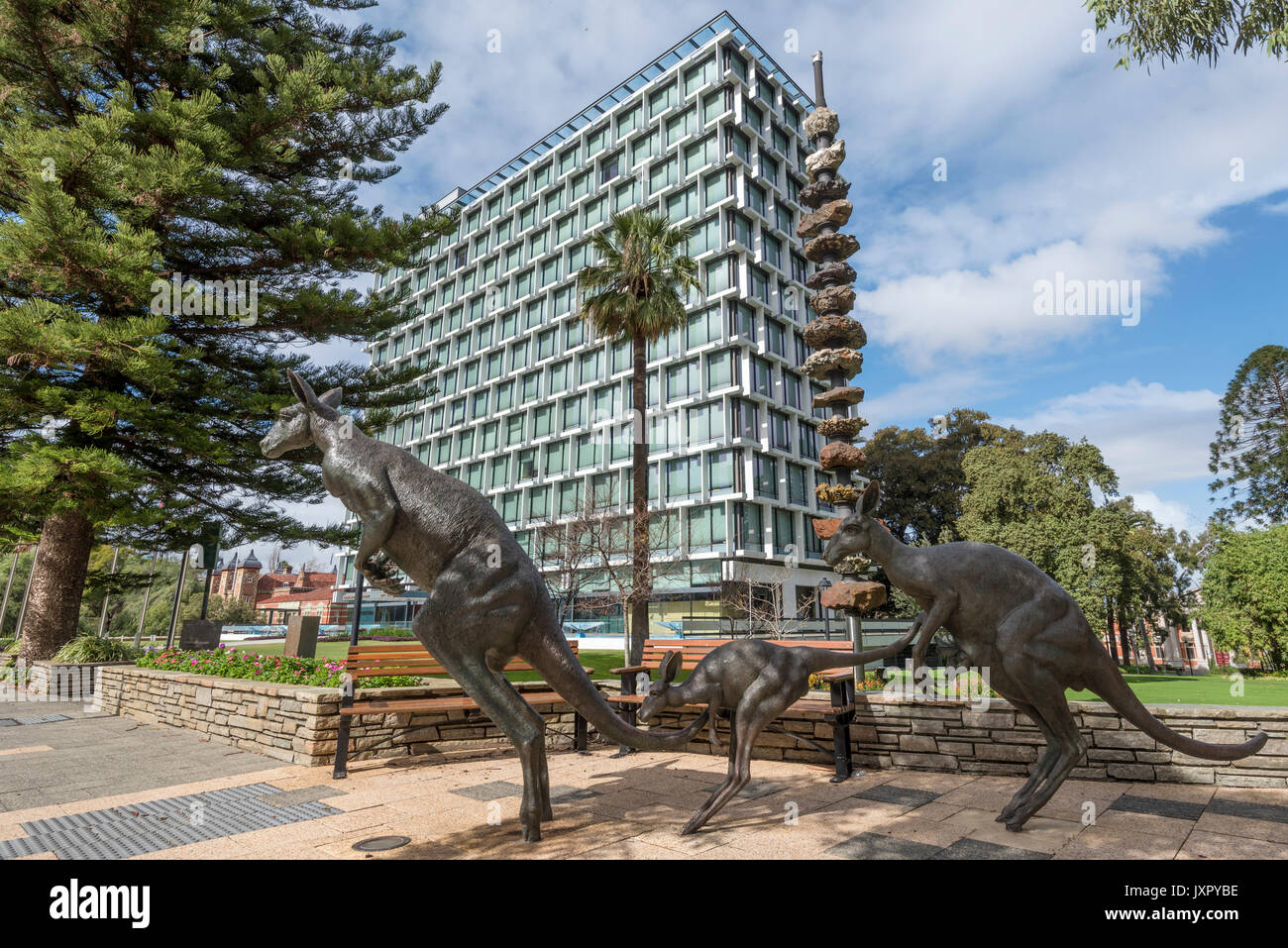 Kangaroos. Statues of Grey Western Kangaroos as part of Perth a city for the people public art