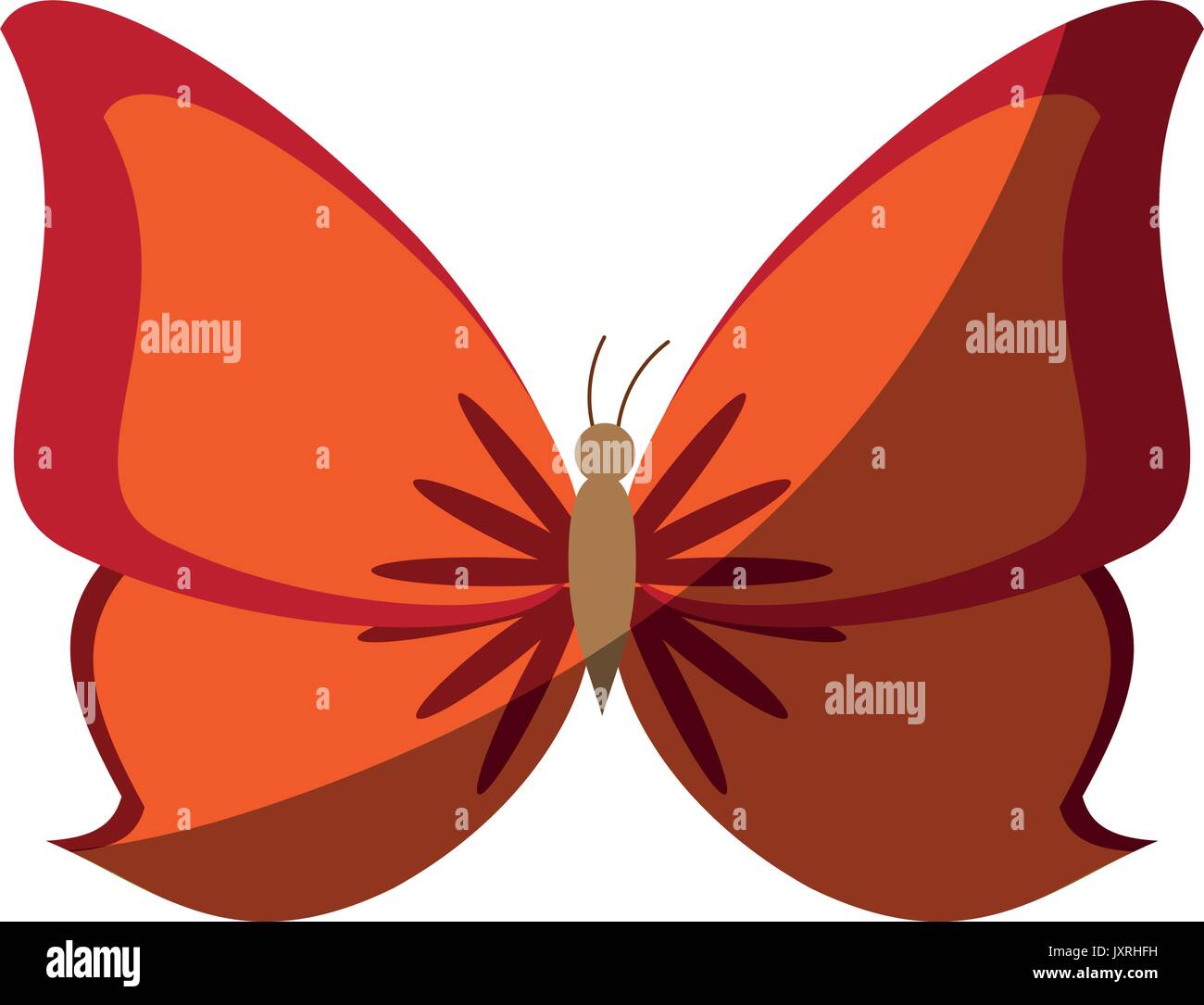 insect icon image Stock Vector Image & Art - Alamy
