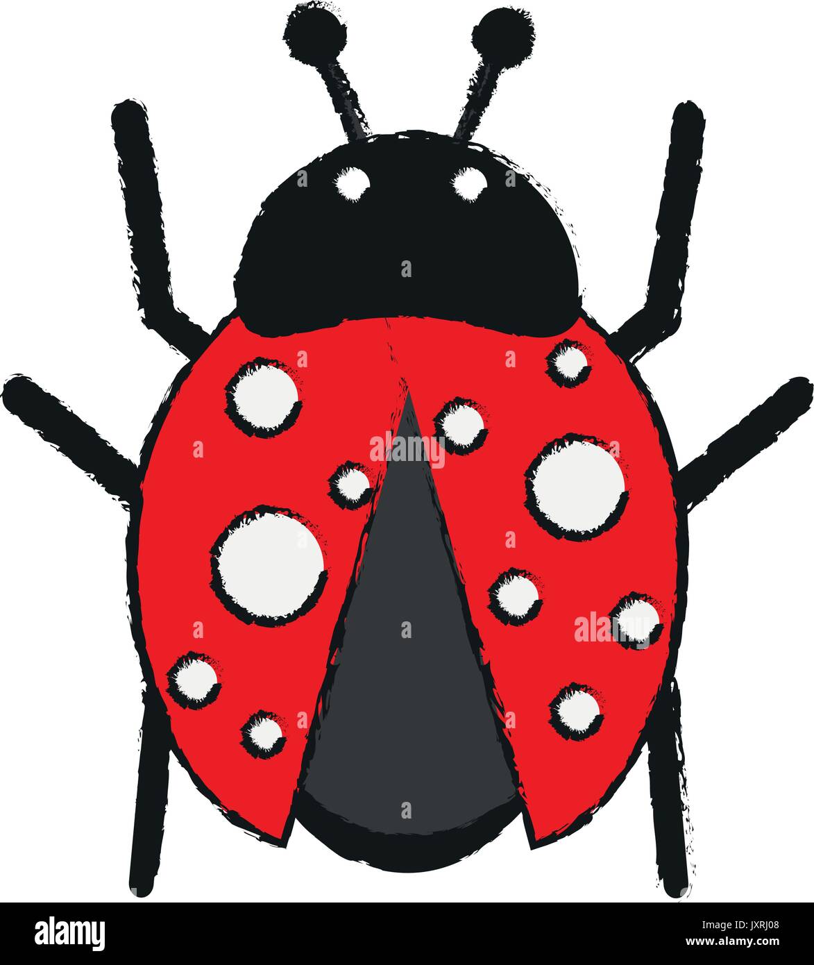 ladybug insect icon image Stock Vector Image & Art - Alamy