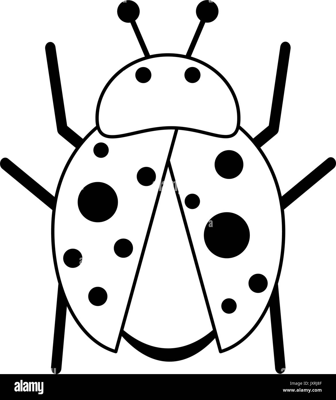 ladybug insect icon image Stock Vector Image & Art - Alamy